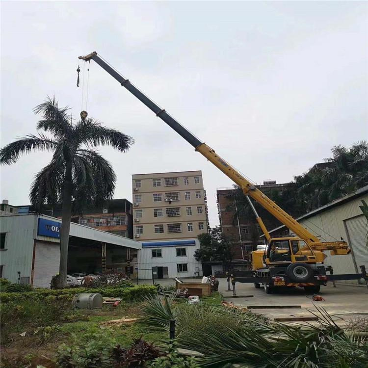 钦南吊车吊大树几种方法